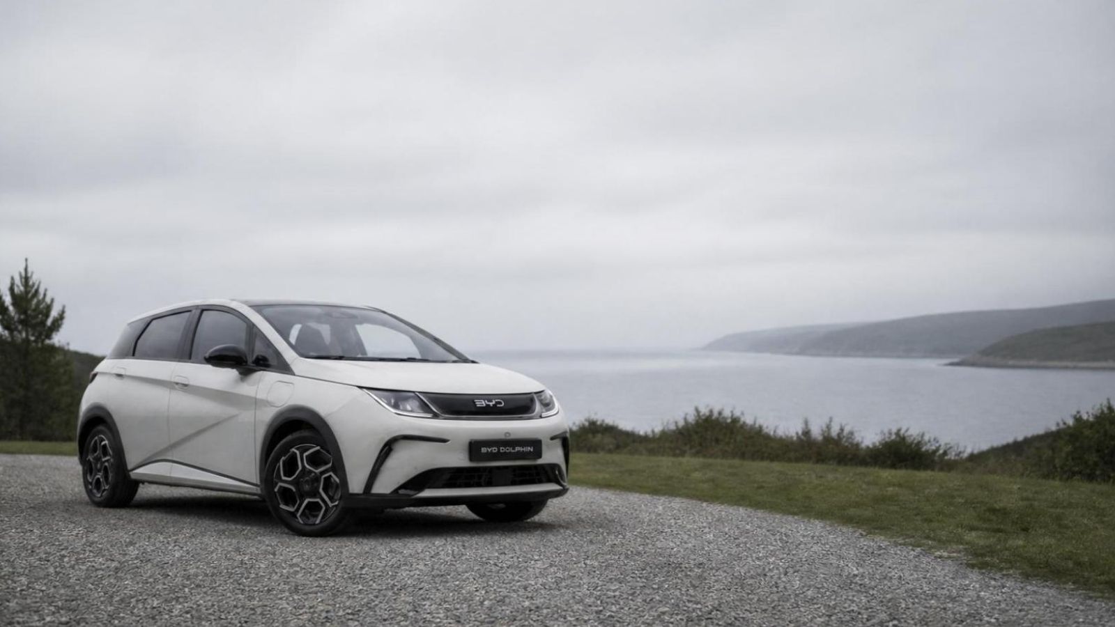 A white BYD Dolphin electric hatchback parked on a gravel coastal headland overlooking a calm grey sea, under an overcast sky, viewed from the front three-quarter angle.